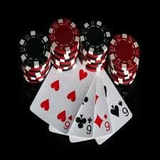 sp8bet